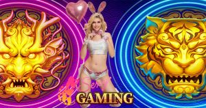 เสือมังกร sexy baccarat